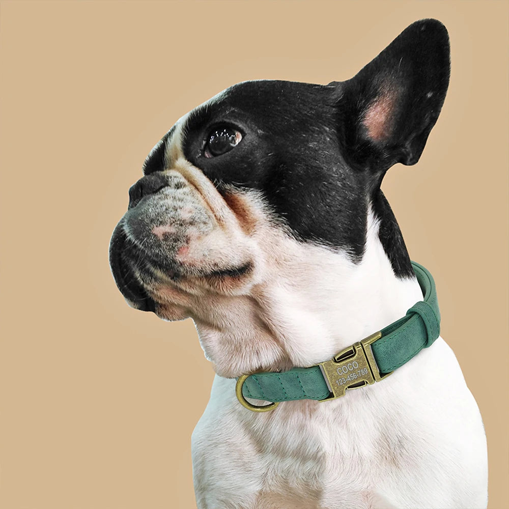 Custom Soft Leather Collar