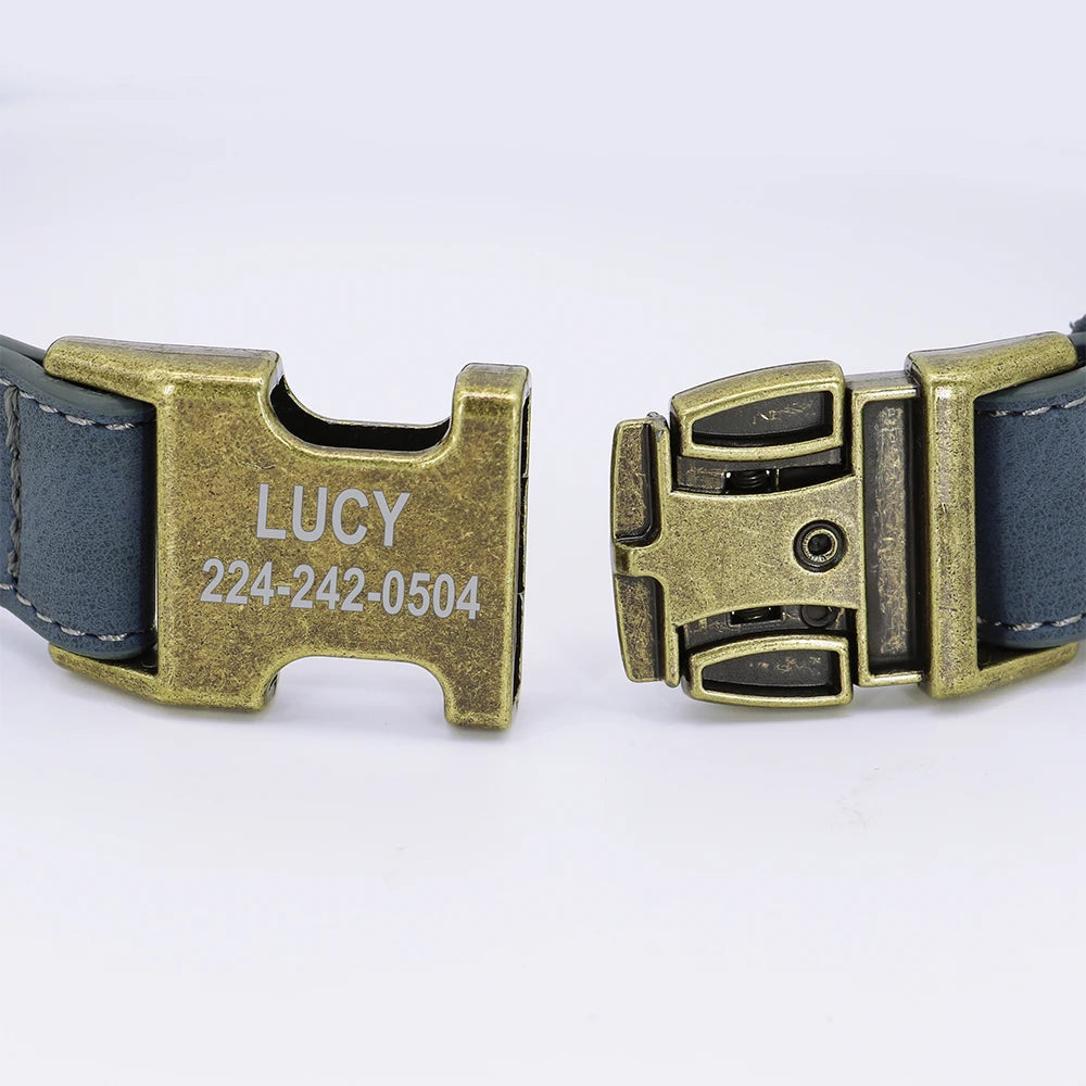 Custom Soft Leather Collar