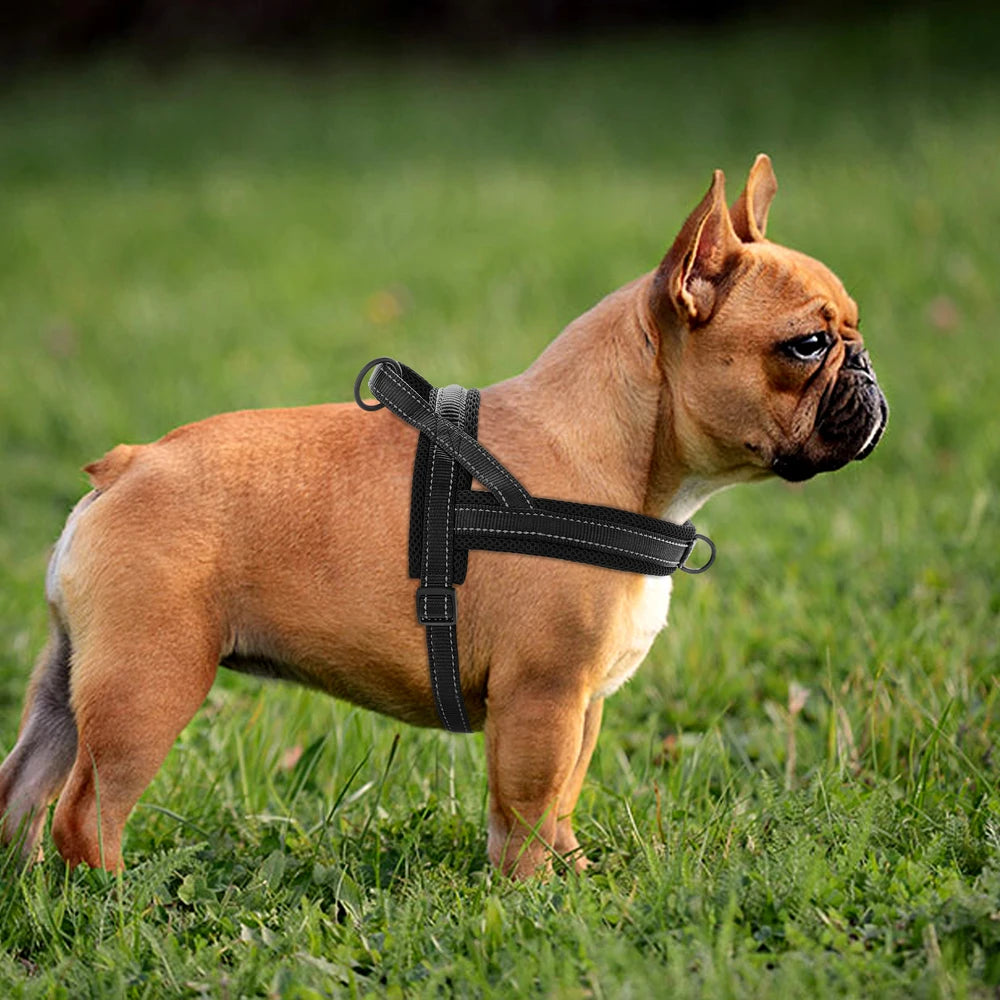 Fleece Harness