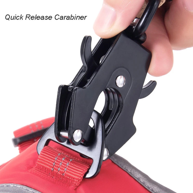 Leash with Car Seat Buckle