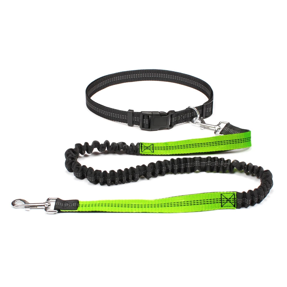 A hands-free running leash for dogs, featuring a black bungee design with an adjustable waistband and a durable metal swivel clip, displayed in different lengths.