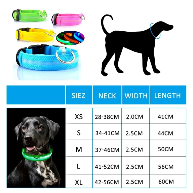 Light-up Evening Collar