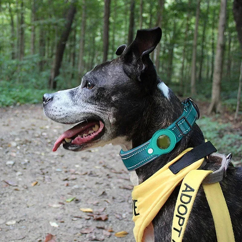 Waterproof Air Tag Collar