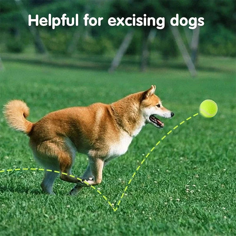 Tennis Balls (for Tennis Ball Launcher)