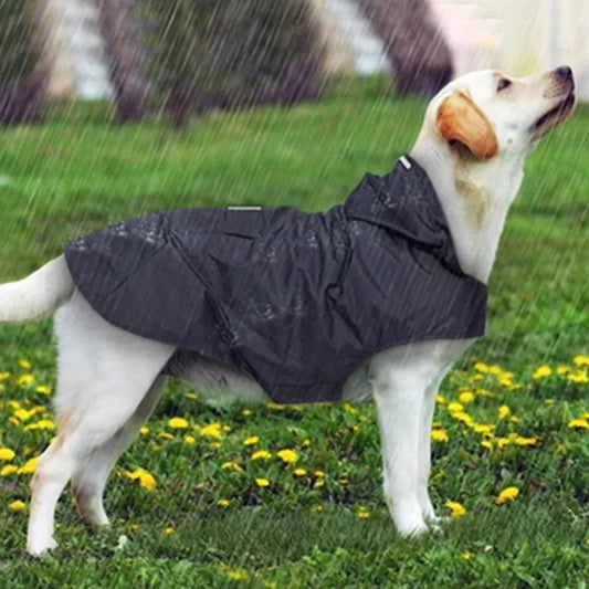 Reflective Raincoat