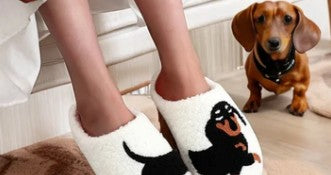 Miniature Dachshund Gifts: What to Buy for Someone Who’s Completely Obsessed