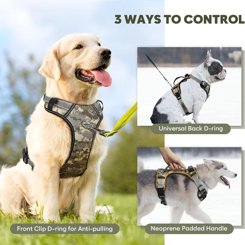 Night Scout Harness