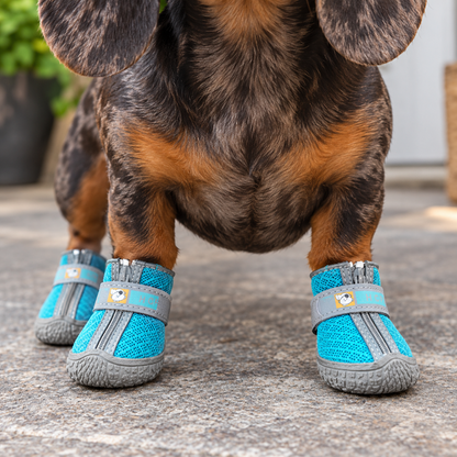 Non-Slip Dog Shoes