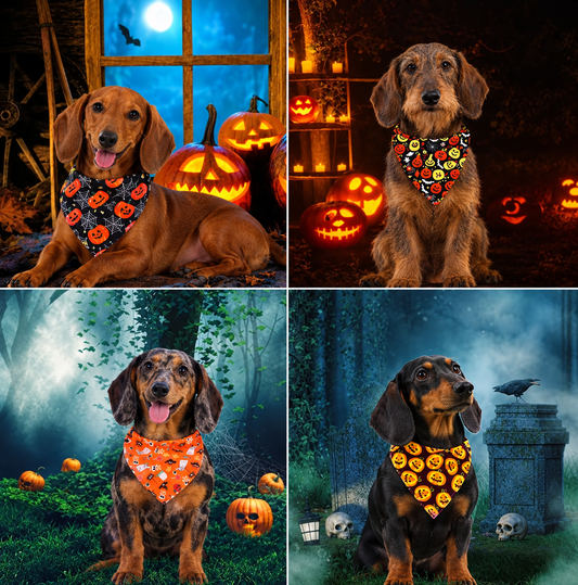 Halloween Print Dog Bandana