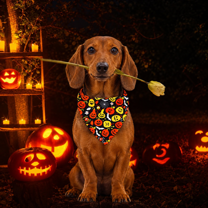 Halloween Print Dog Bandana