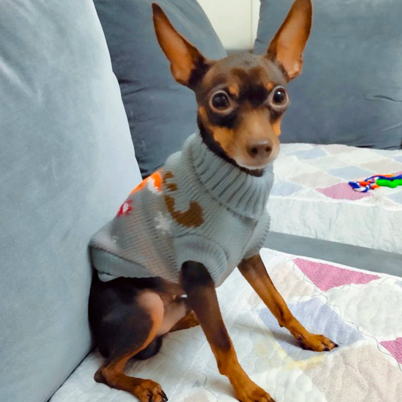 Small dog wearing a gray sweater sitting on a bed