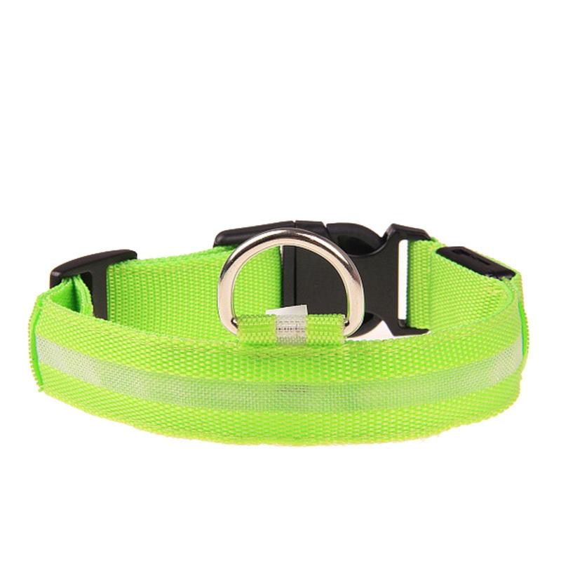 Light-up Evening Collar