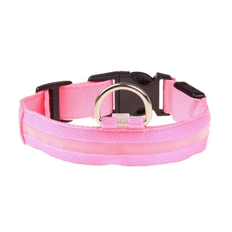 Light-up Evening Collar