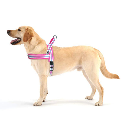 Fleece Harness