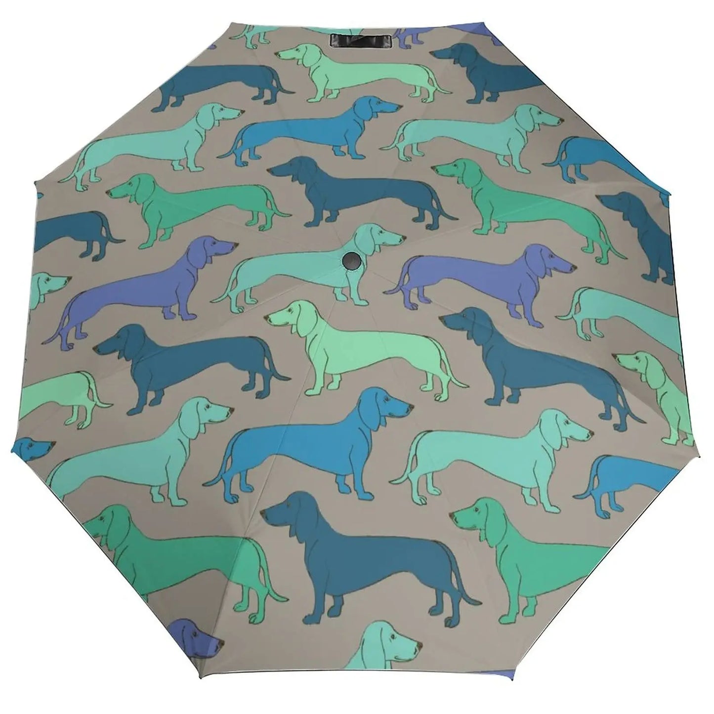 Dachshund Umbrella