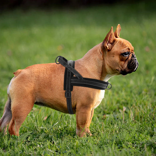 Fleece Harness
