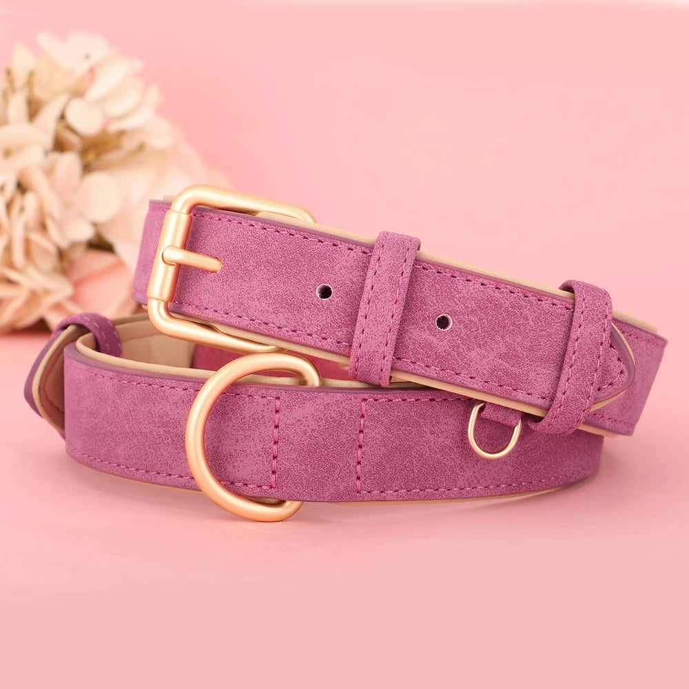 Comfort Trek Collar