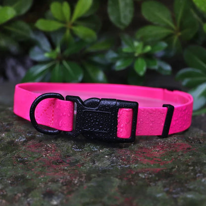 Waterproof Neon Collar