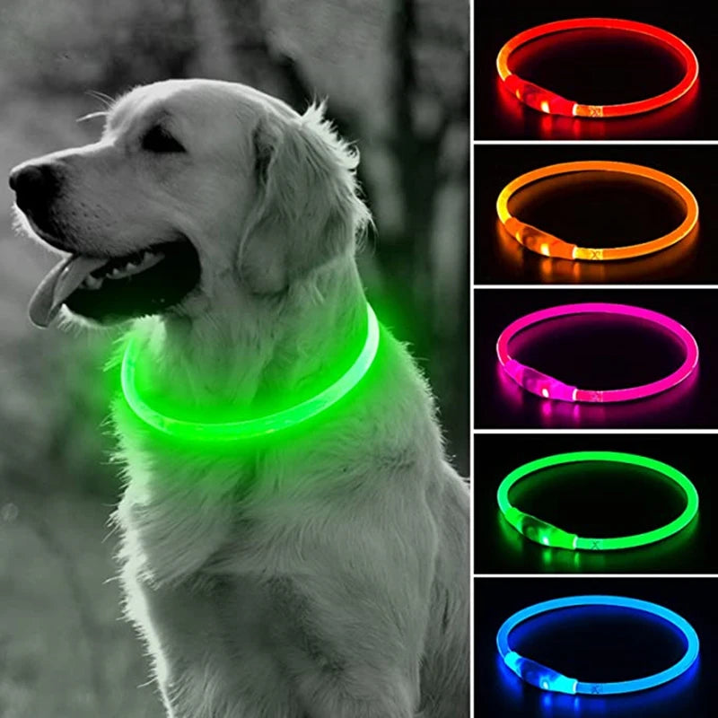 Glow Collar