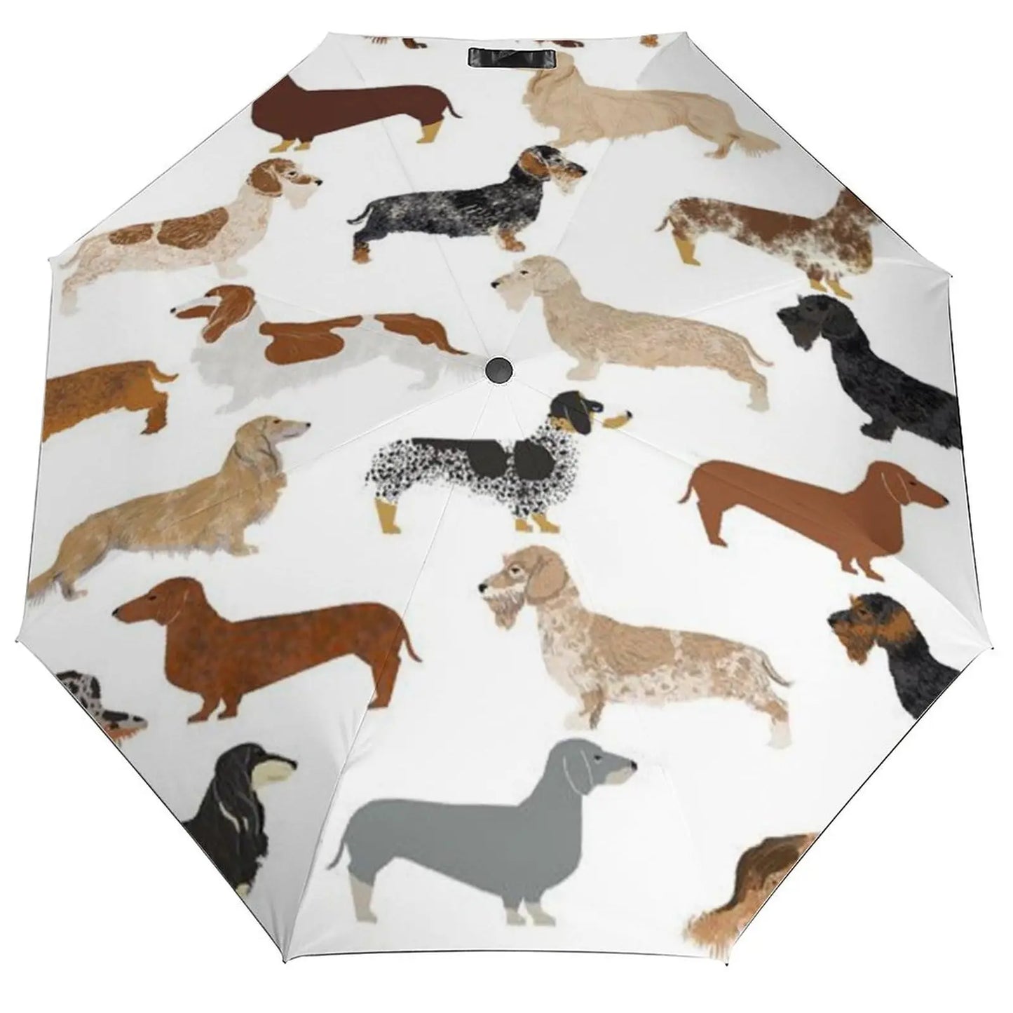 Dachshund Umbrella