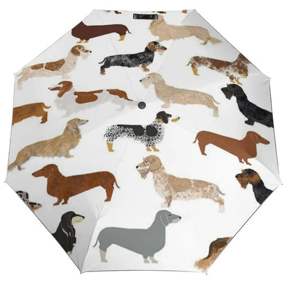 Dachshund Umbrella