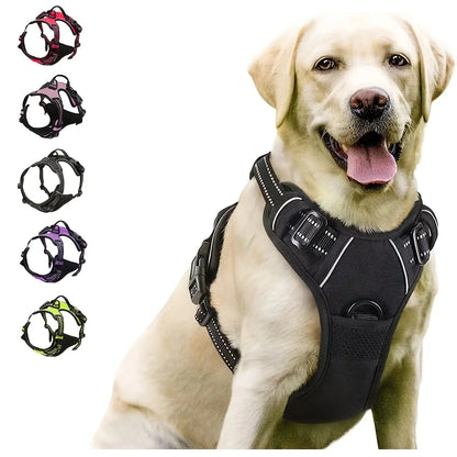 Explorer Harness