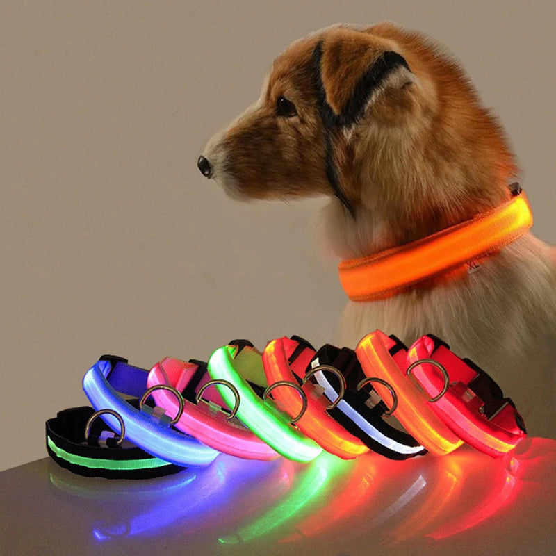 Light-up Evening Collar