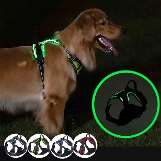 Night Scout Harness