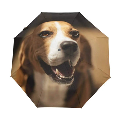 Dachshund Umbrella
