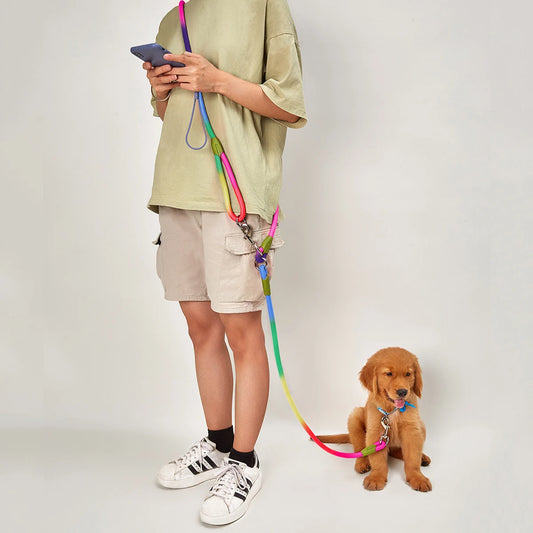 Hands Free Walking Leash