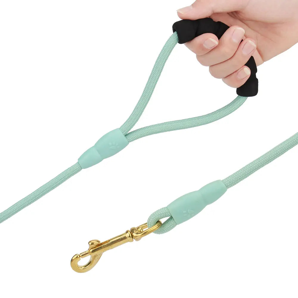 Training Leash