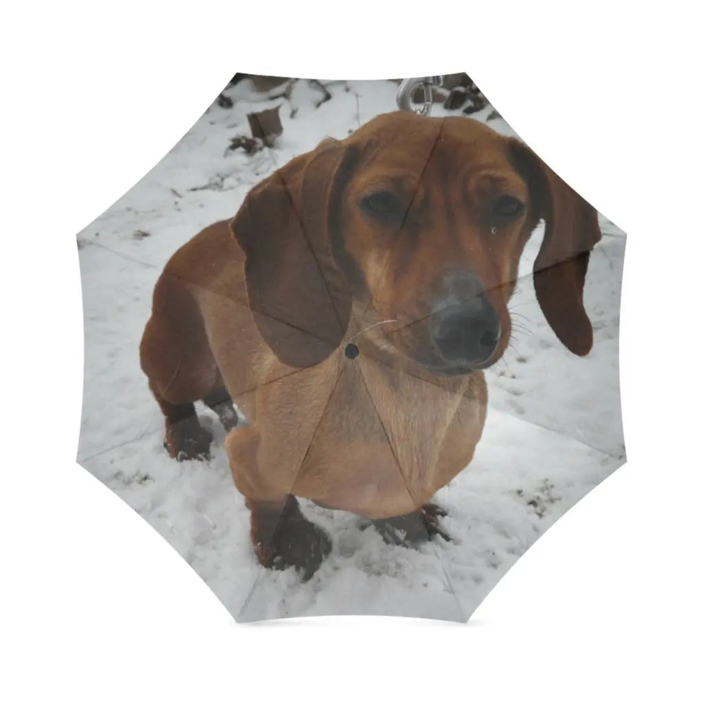 Dachshund Umbrella