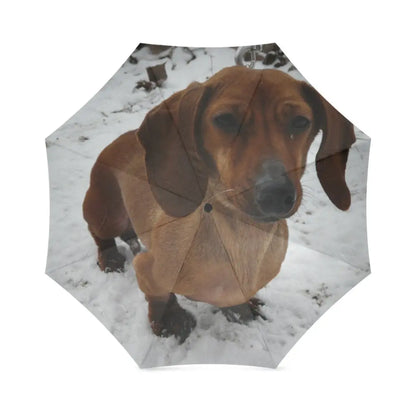 Dachshund Umbrella