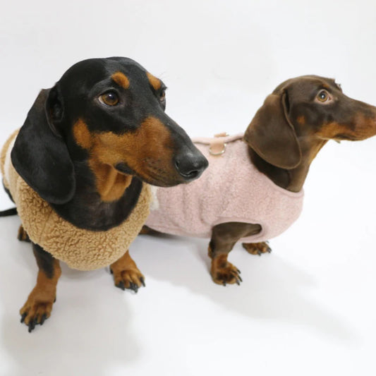 Dachshund Fleece Vest