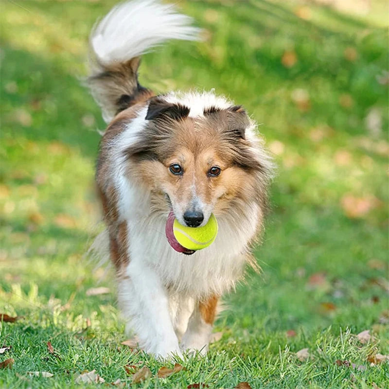 Tennis Balls (for Tennis Ball Launcher)