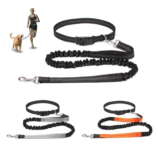 Hands Free Running Leash