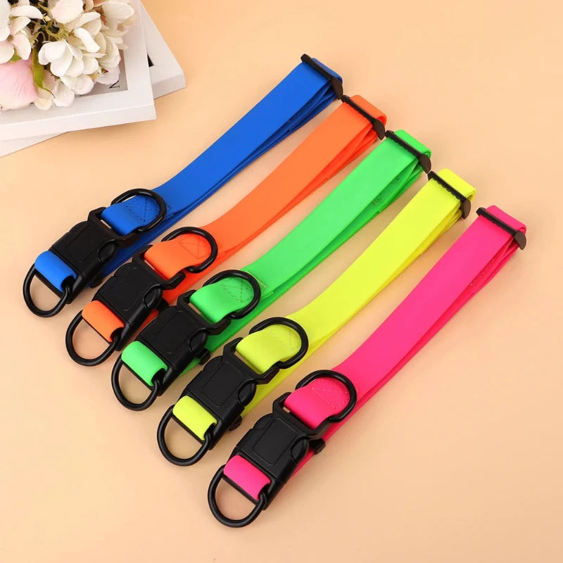 Waterproof Neon Collar