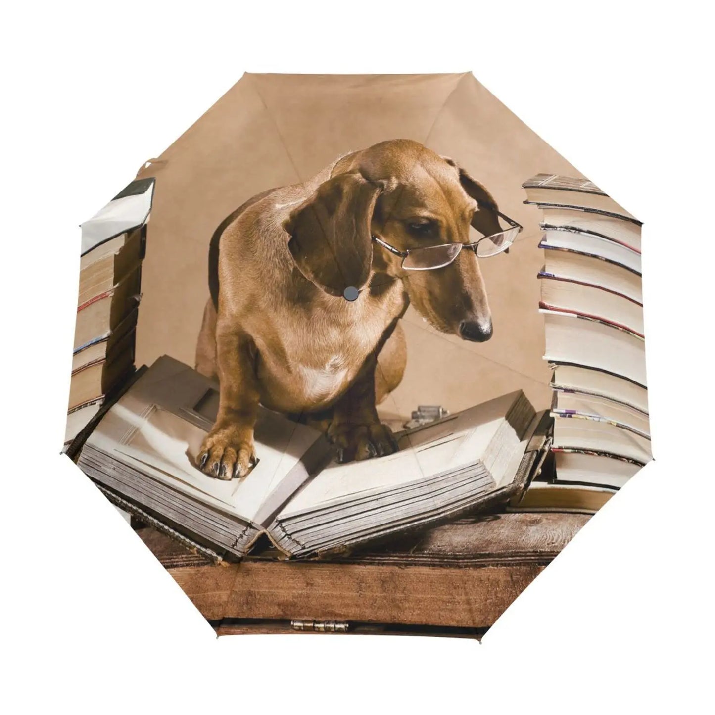 Dachshund Umbrella