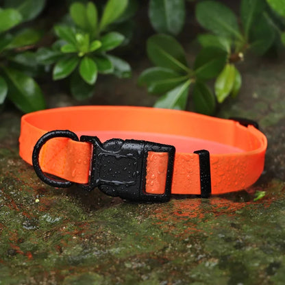 Waterproof Neon Collar