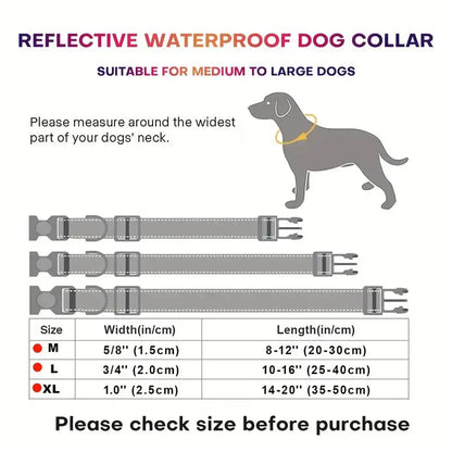 Waterproof Pastel Collar