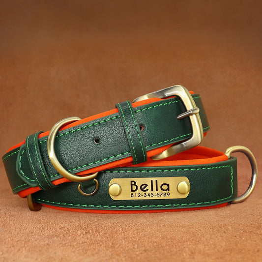 A dog wearing a green custom leather collar with an orange leather strap, featuring a secure buckle.