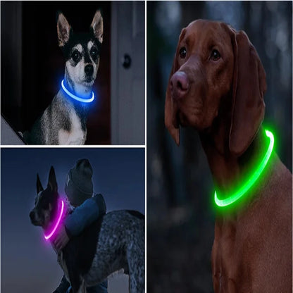 Glow Collar