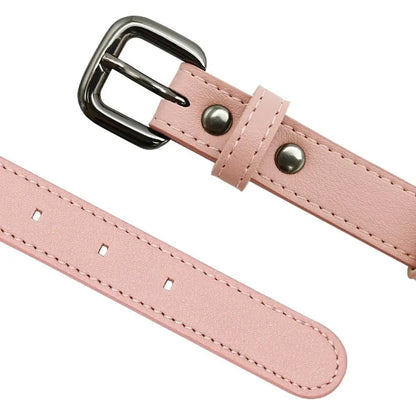 Playtime Air Tag Collar