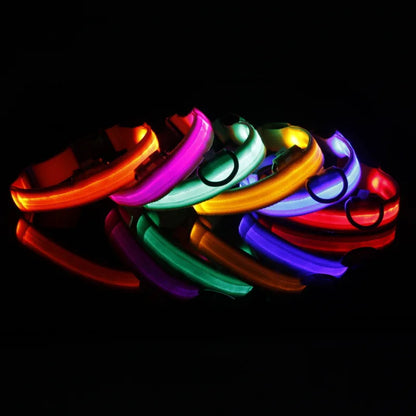 Light-up Evening Collar