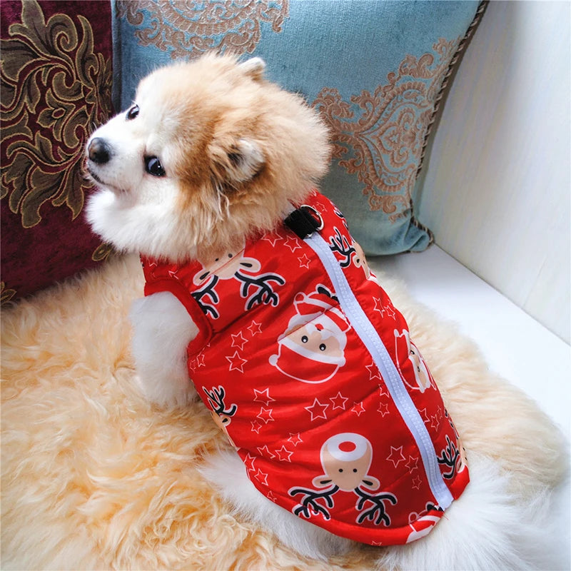 Small dog wearing a red outfit with Christmas-themed designs on a fluffy surface.