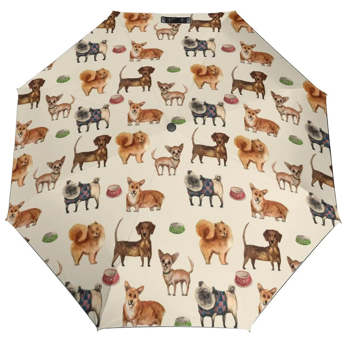 Dachshund Umbrella