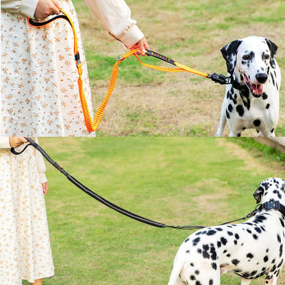 Leash with Car Seat Buckle