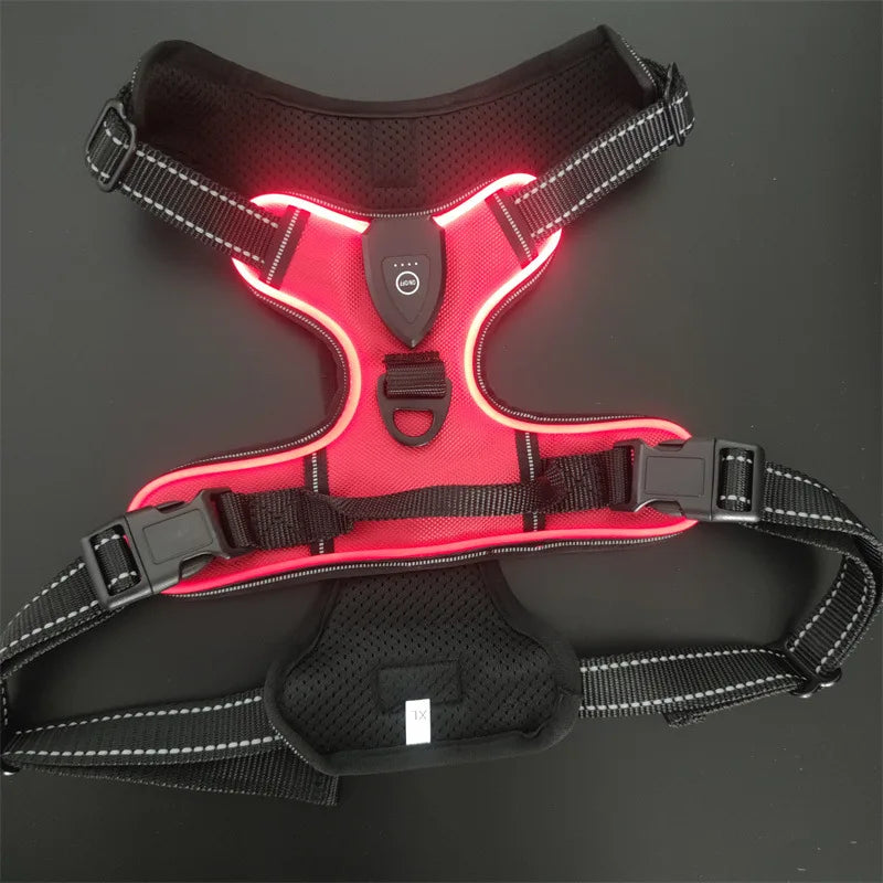 Night Scout Harness