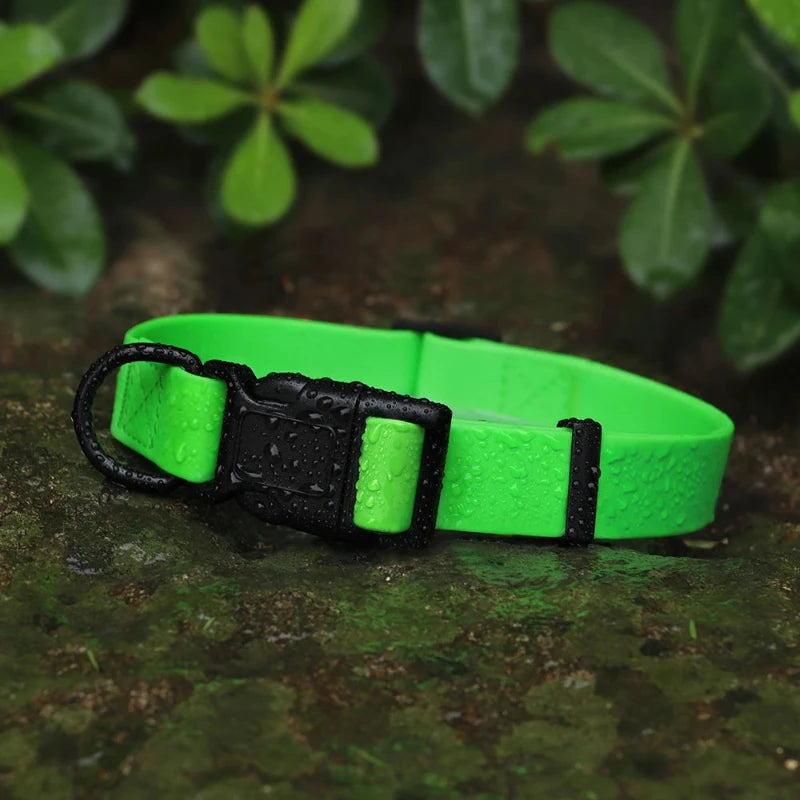 Waterproof Neon Collar