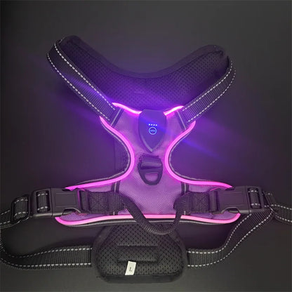 Night Scout Harness